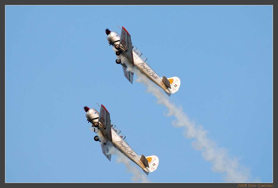 yak52_02.jpg