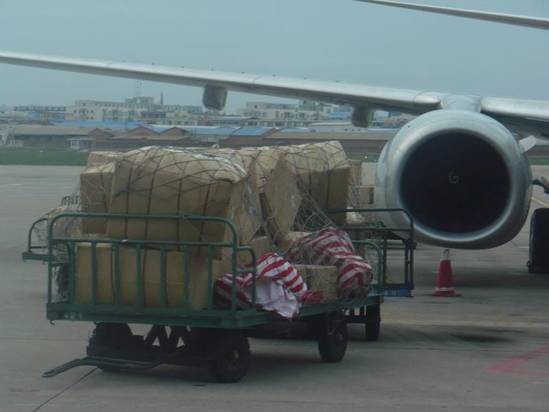 P1000945.jpg