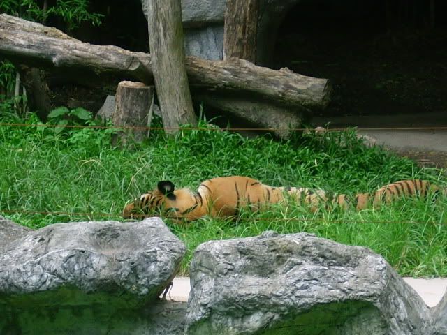 IMG_0269.jpg