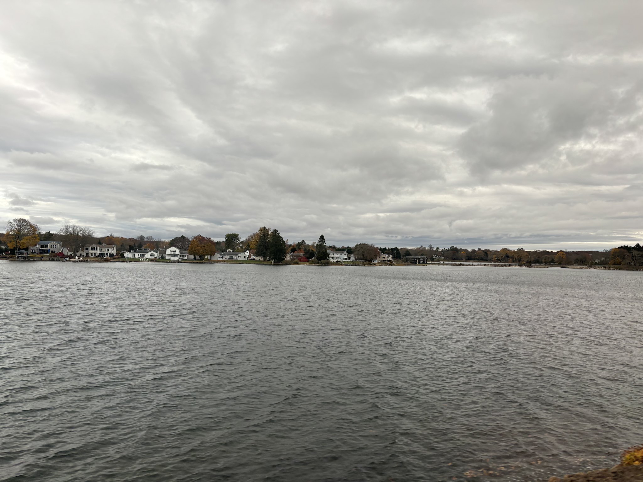 53357379981_19b2cd92a9_k.jpg