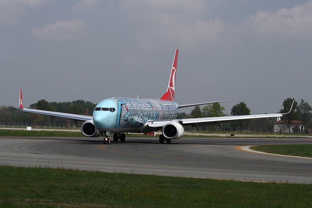 738TurkishAirlines.jpg