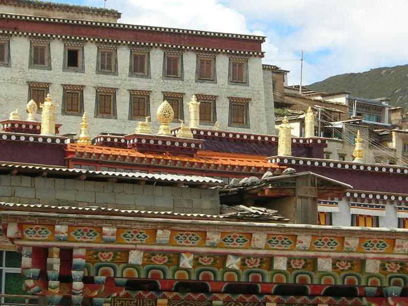DSCN2192-1.jpg