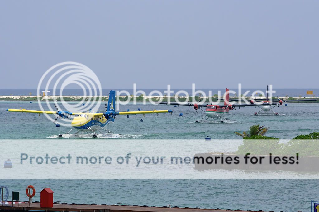 8Q-TMEMle170310_pp.jpg