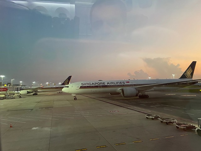 54299442015_8ae628b834_z.jpg