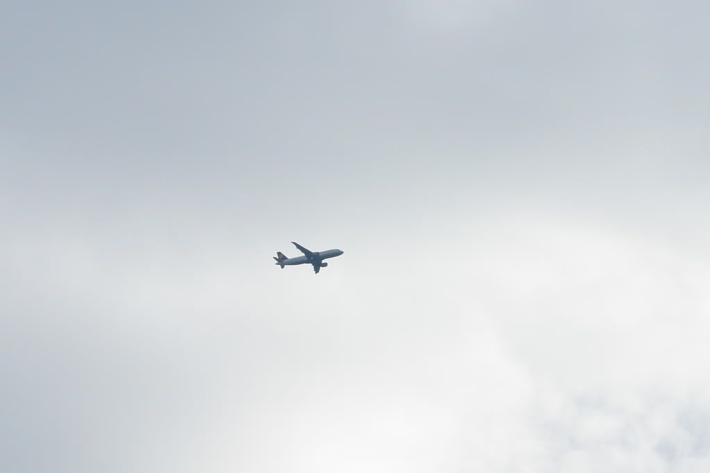 DSC02022.jpg