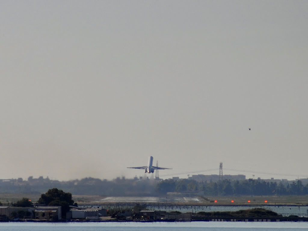 DSC_0385.jpg