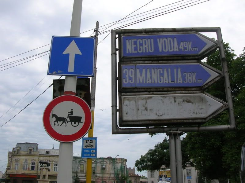 DSCN6700.jpg