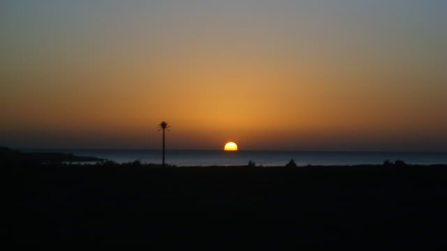 IMG_0063.jpg