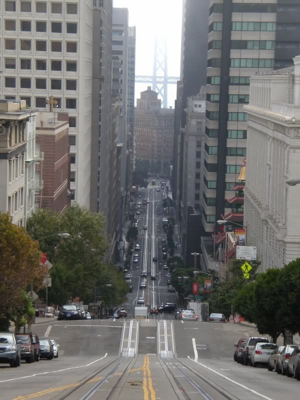 CIMG0670.jpg