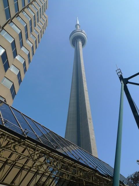 L1010664.jpg