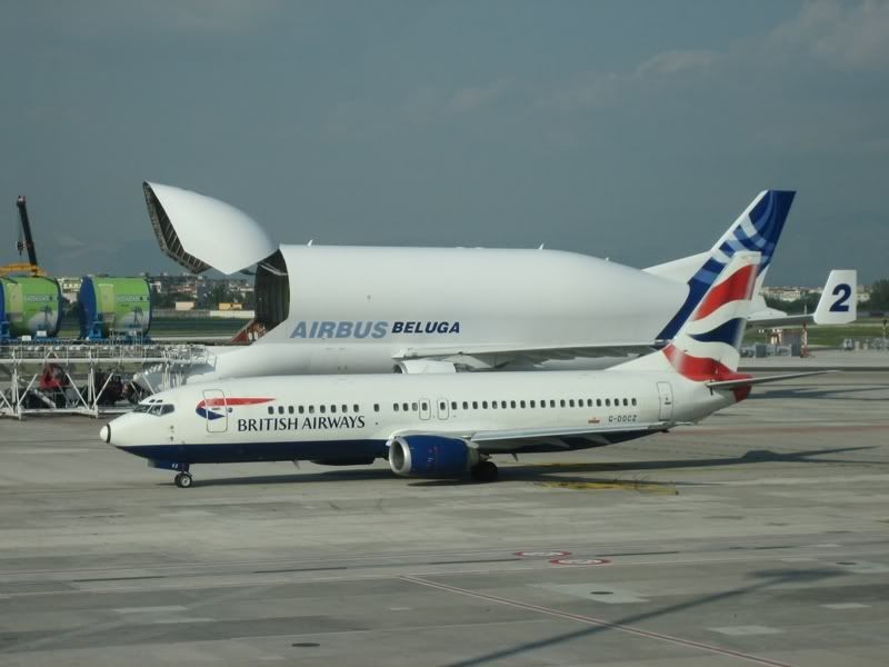 LIRN28-8.jpg