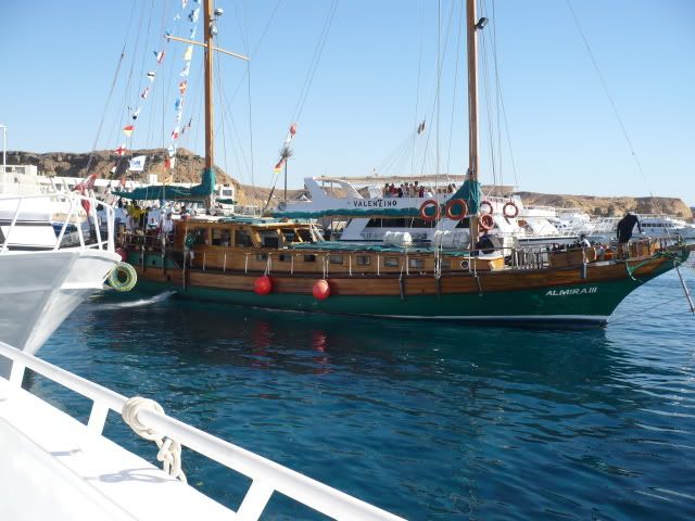 P1000104.jpg