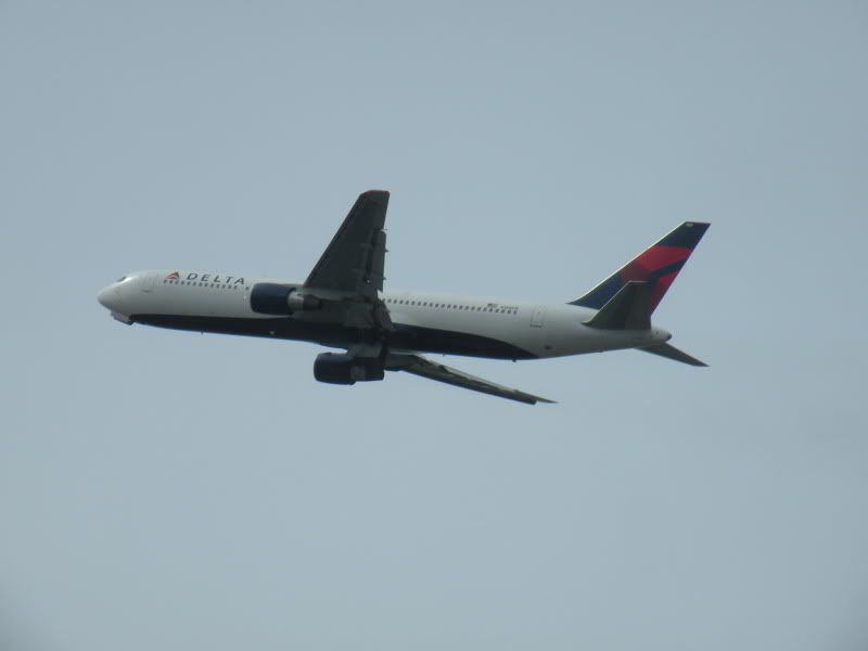 DSCN7981.jpg