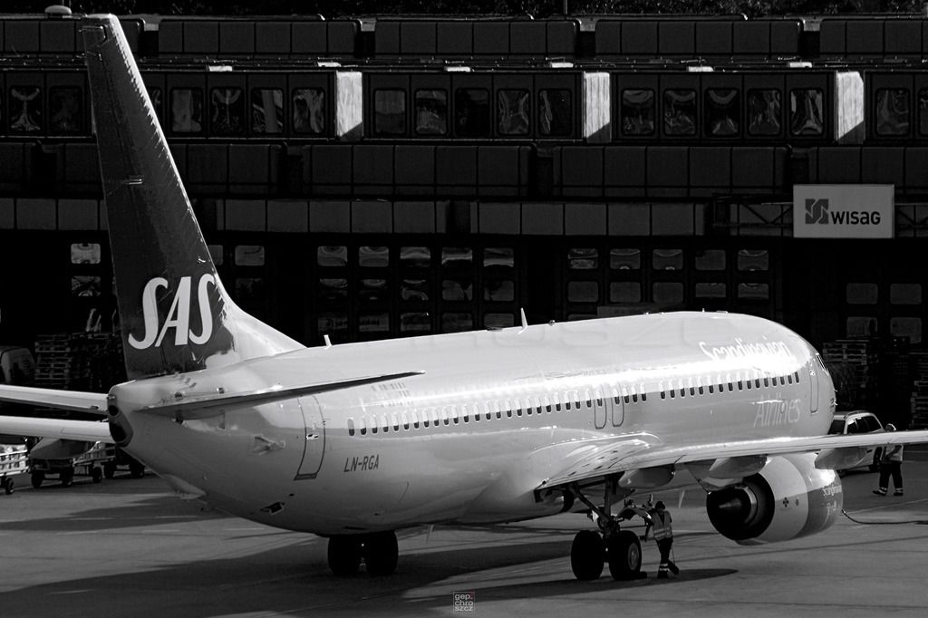 SASB738WLsw1024bs.jpg