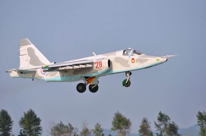 DSC_3602_zps1i9nnhix.jpg