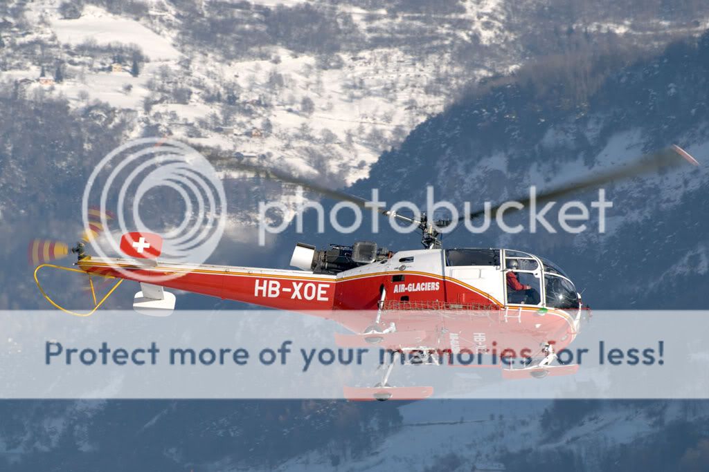 DSC_0055-1.jpg