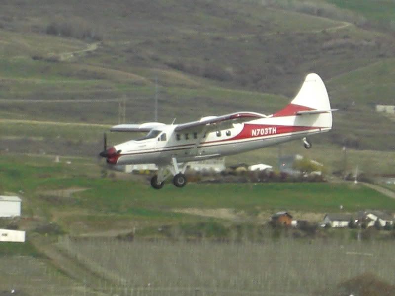 CIMG8560.jpg