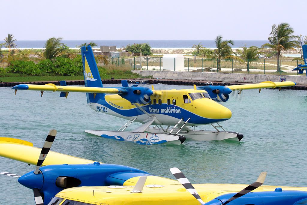 8Q-TMJMle190310_pp.jpg