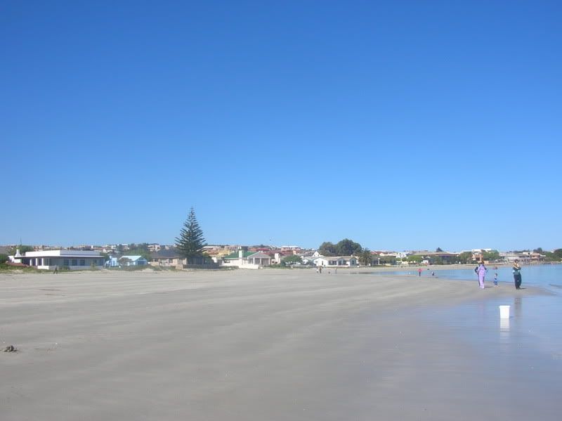 DSCN5384.jpg