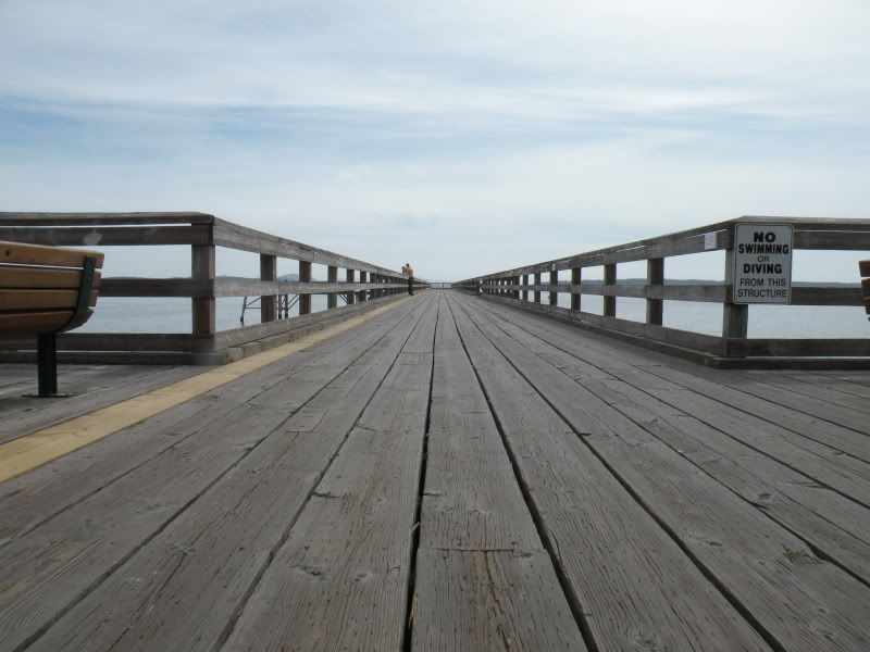 varie010.jpg