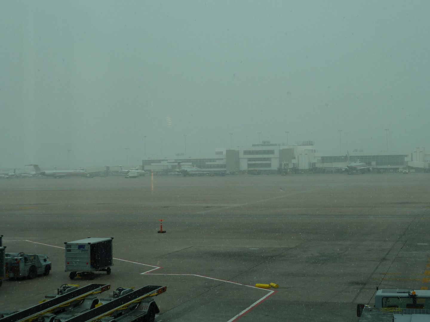 P1020043.jpg