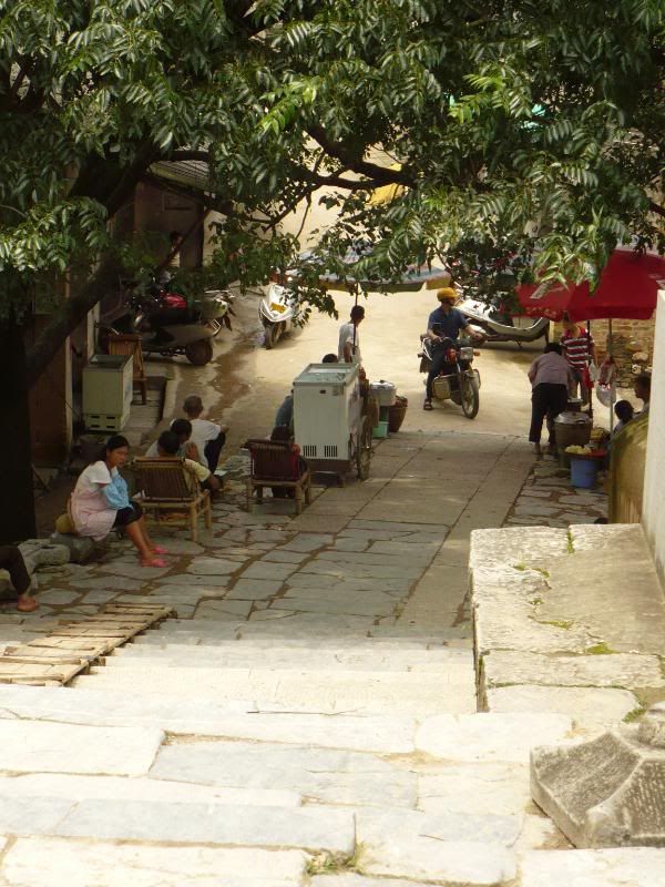 P1000815.jpg