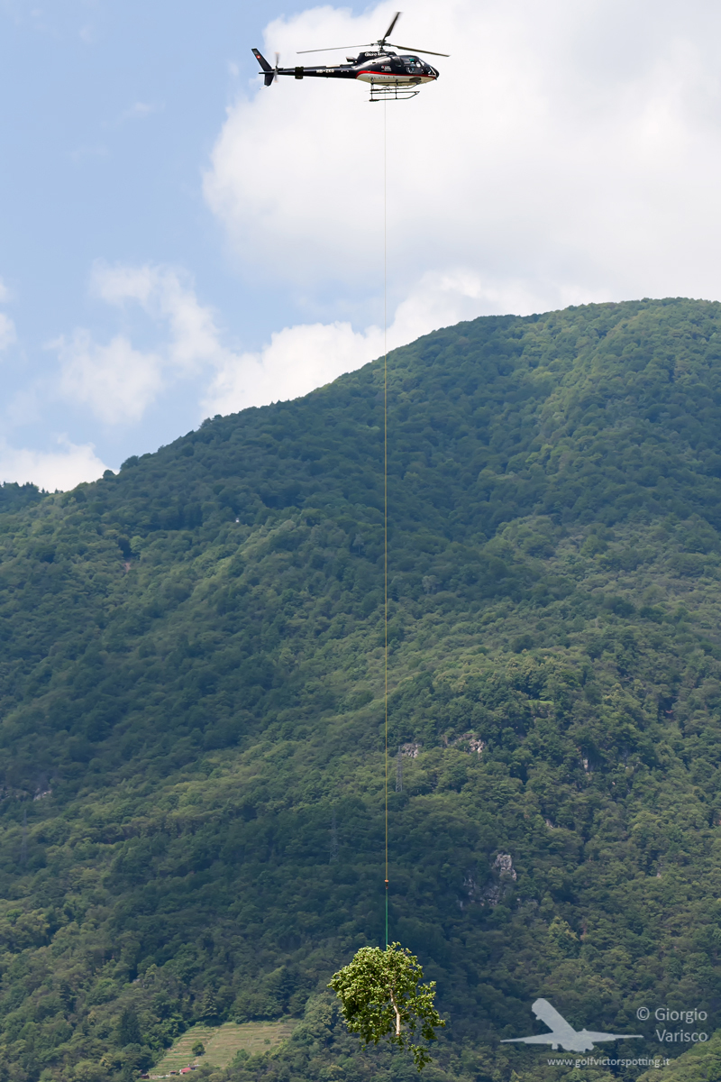 _MG_8143_310514.jpg