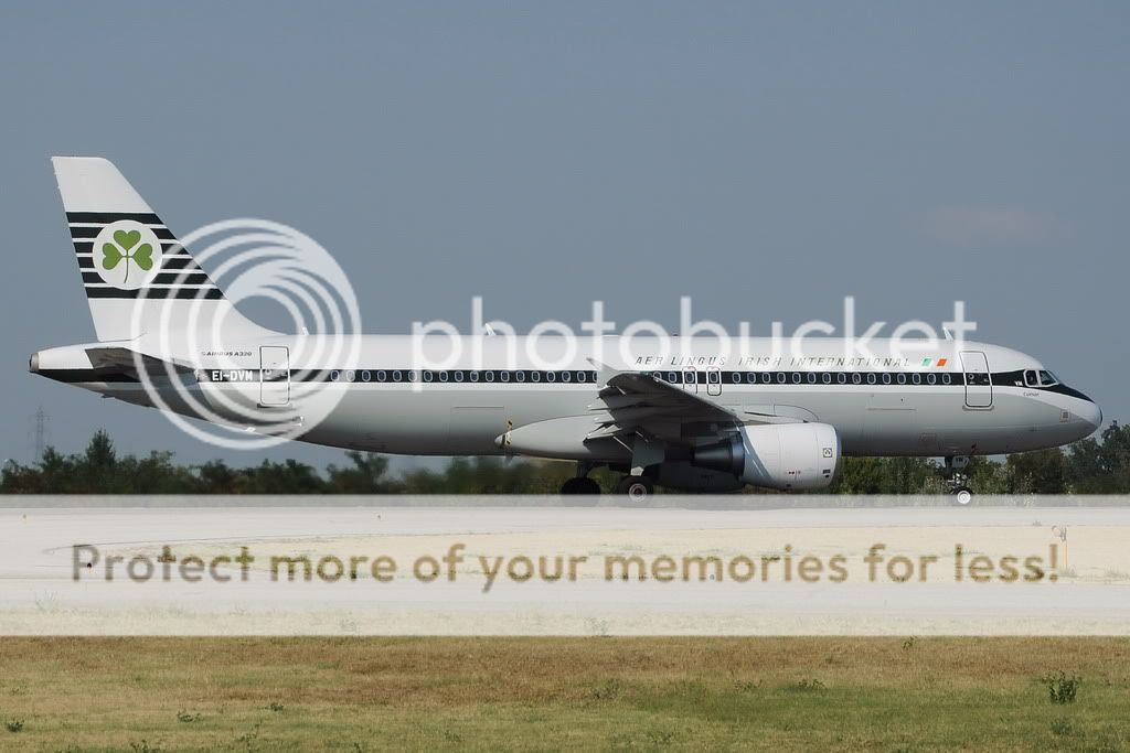 VB-EI-DVM-DX.jpg