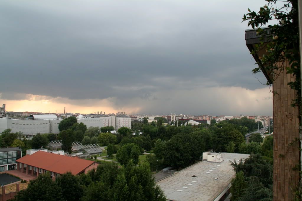 IMG_2762.jpg