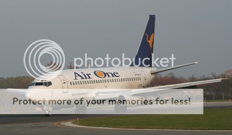 732.jpg
