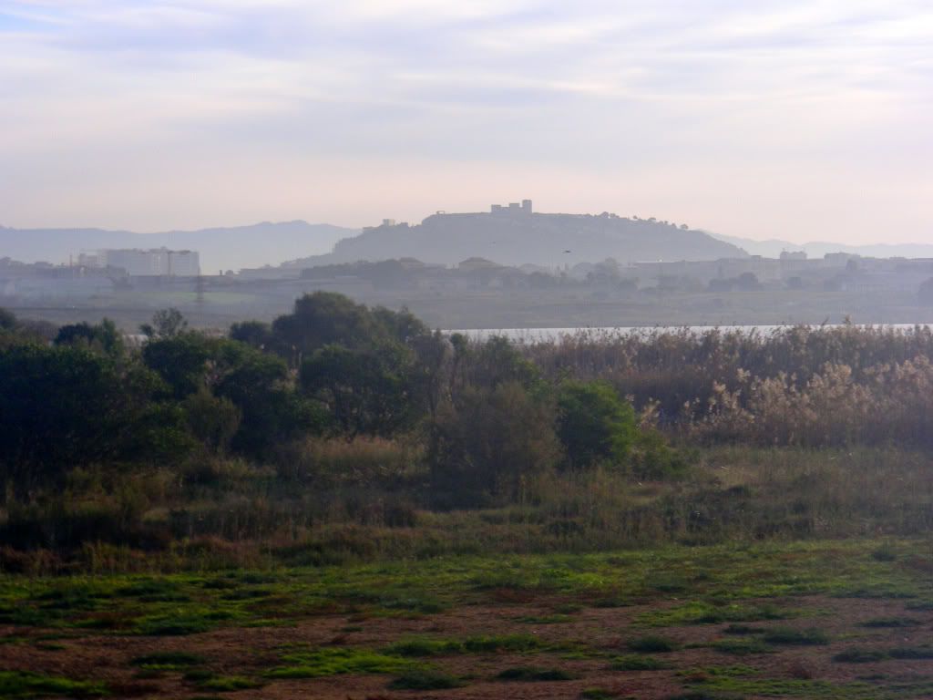 DSCN8217.jpg