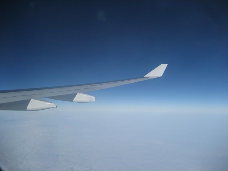 IMG_2893.jpg