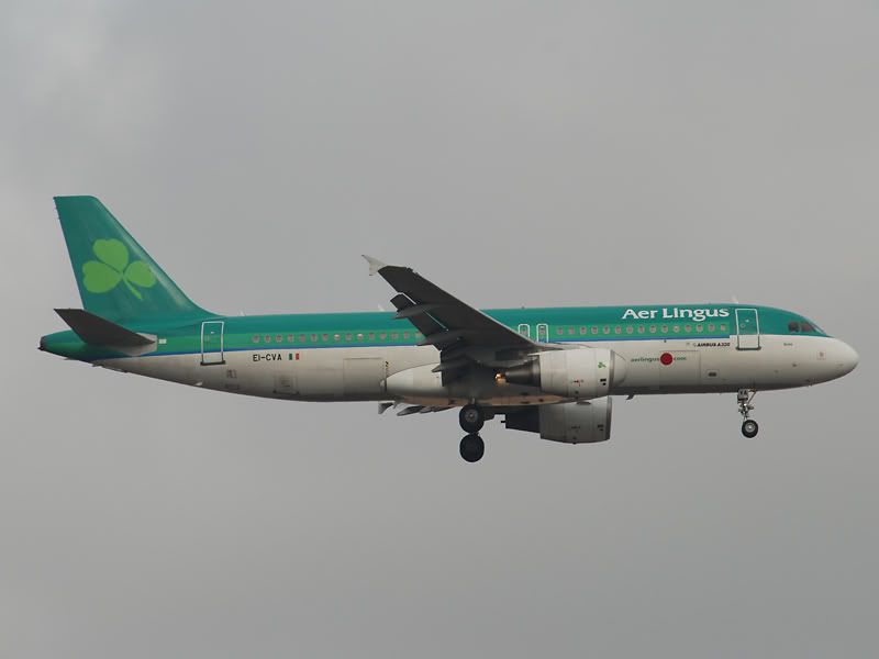 DSC_0074.jpg