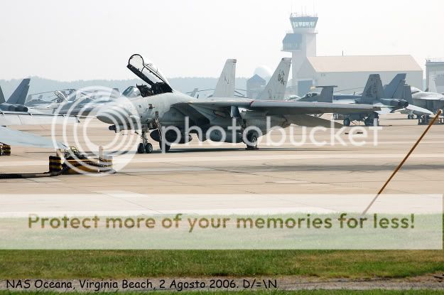 Tomcats_DF.jpg