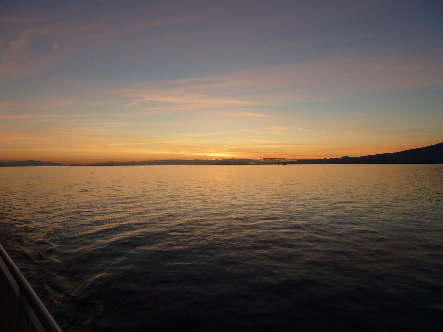 P1010259.jpg