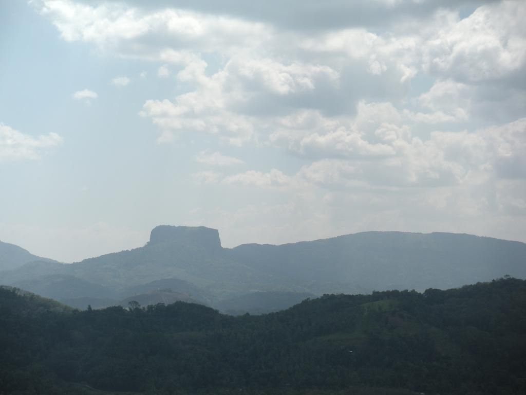 DSCN1971_zps8b504c3e.jpg