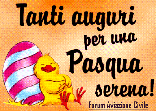 7.gif