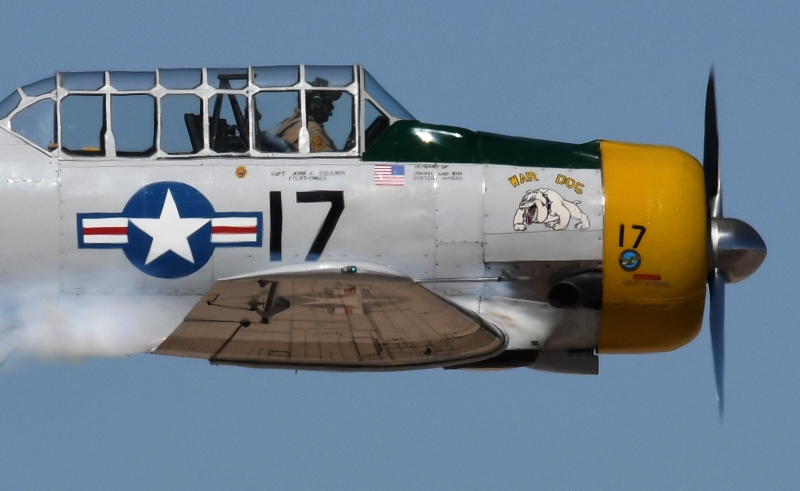 52023674718_e78fc463f8_o.jpg