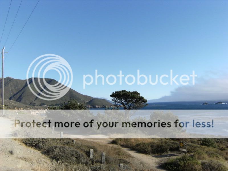 California074.jpg