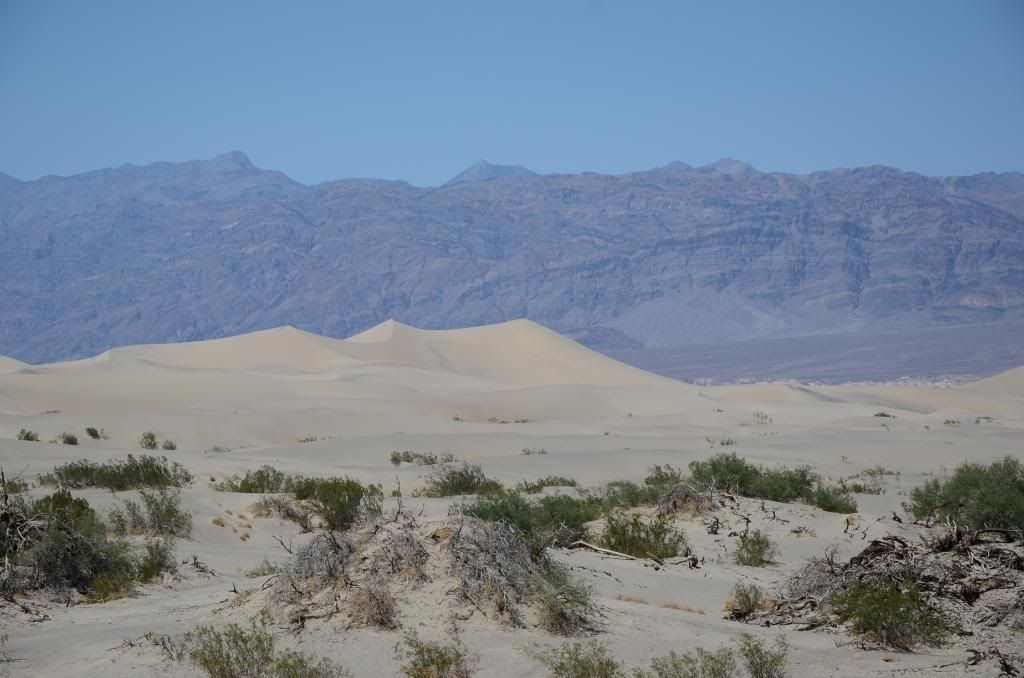DSC_0988.jpg