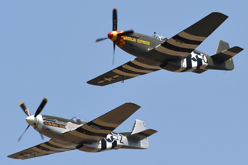53115720801_8332e82dbb_c.jpg