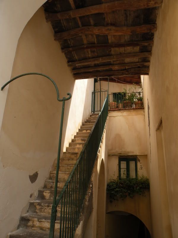 DSCN8125.jpg