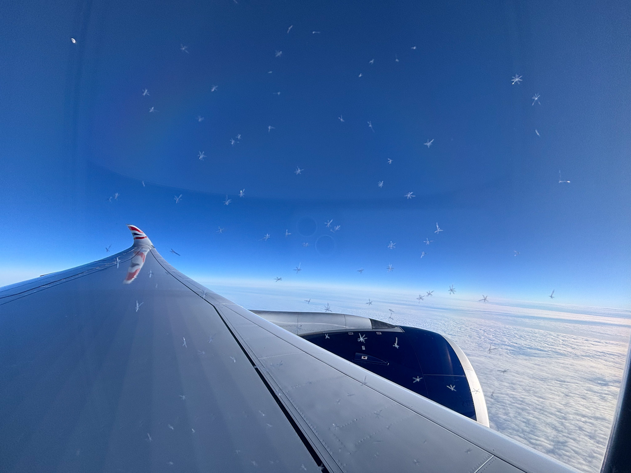 54340331017_22ed7ff9f8_k.jpg