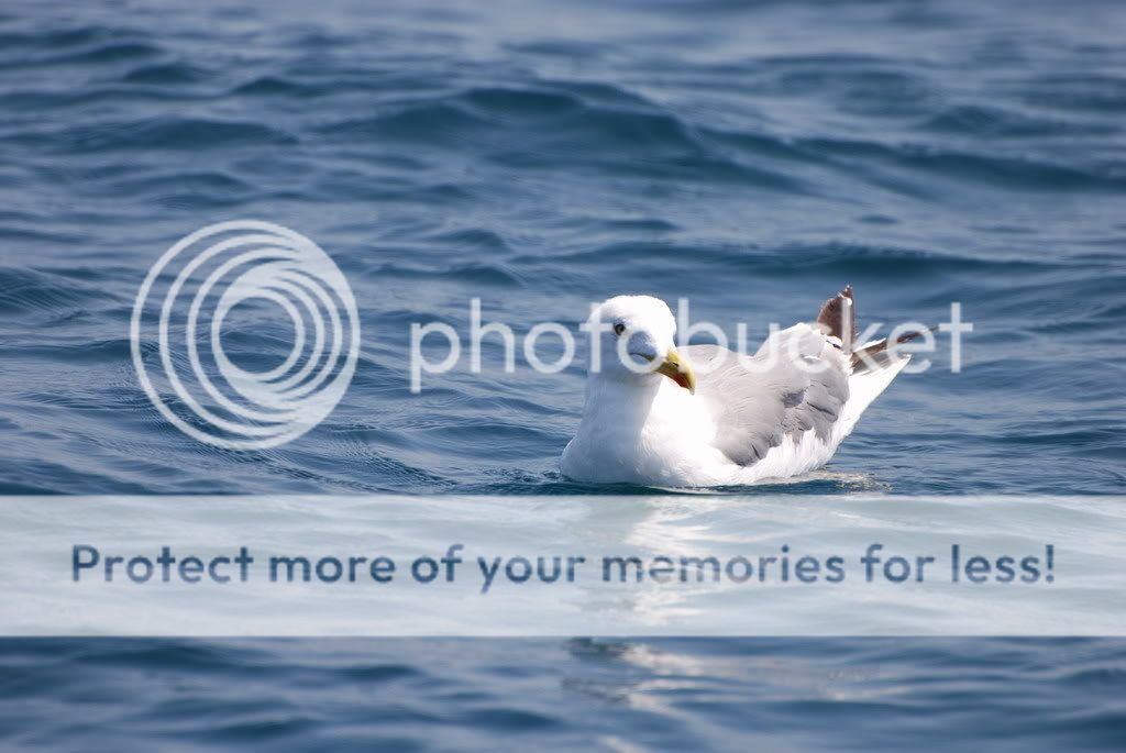 DSC_3295.jpg