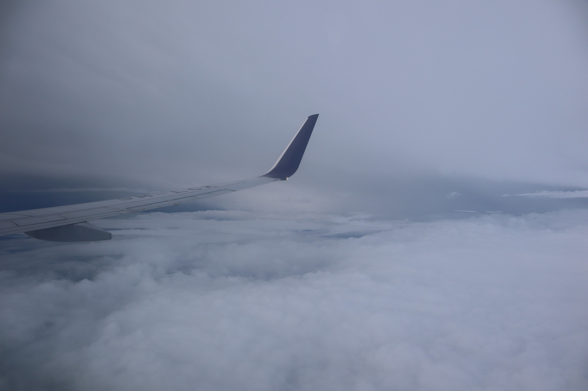 49044835107_10ce956f97_k.jpg