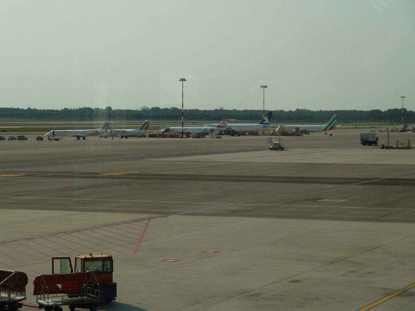 P1030150.jpg