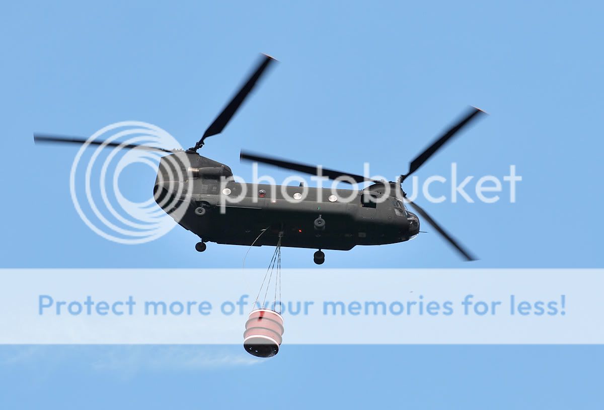 EI831.jpg