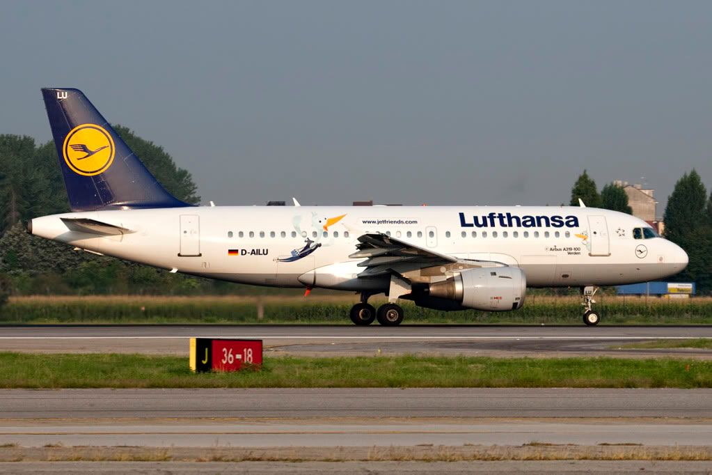 D-AILUdareinviaredopo5settembre.jpg