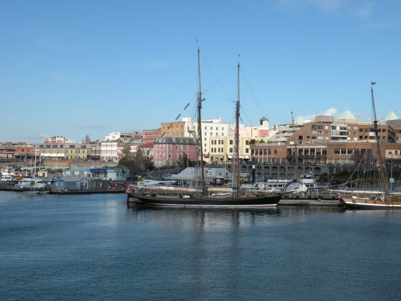 DSCN7714.jpg