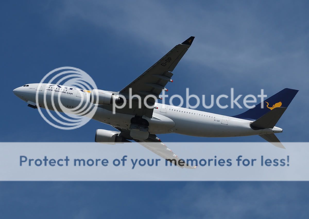 EI-DIP.jpg